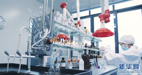 重庆荣昌 头尾相连，串出农业价值链技术推广新篇章