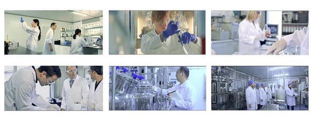 萌动出击 | 东西部小动物临床兽医师大会，牵尼贝尔邀您莅临技术推广