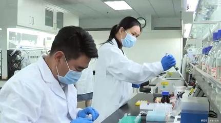 人工淀粉合成技术 重塑世界粮食格局的生物技术突破