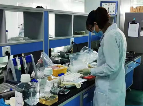 聚青力战疫情 天津青年技术推广行动纪实