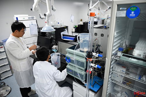 成都生物技术企业获3亿元C轮融资，加速创新药物研发新篇章