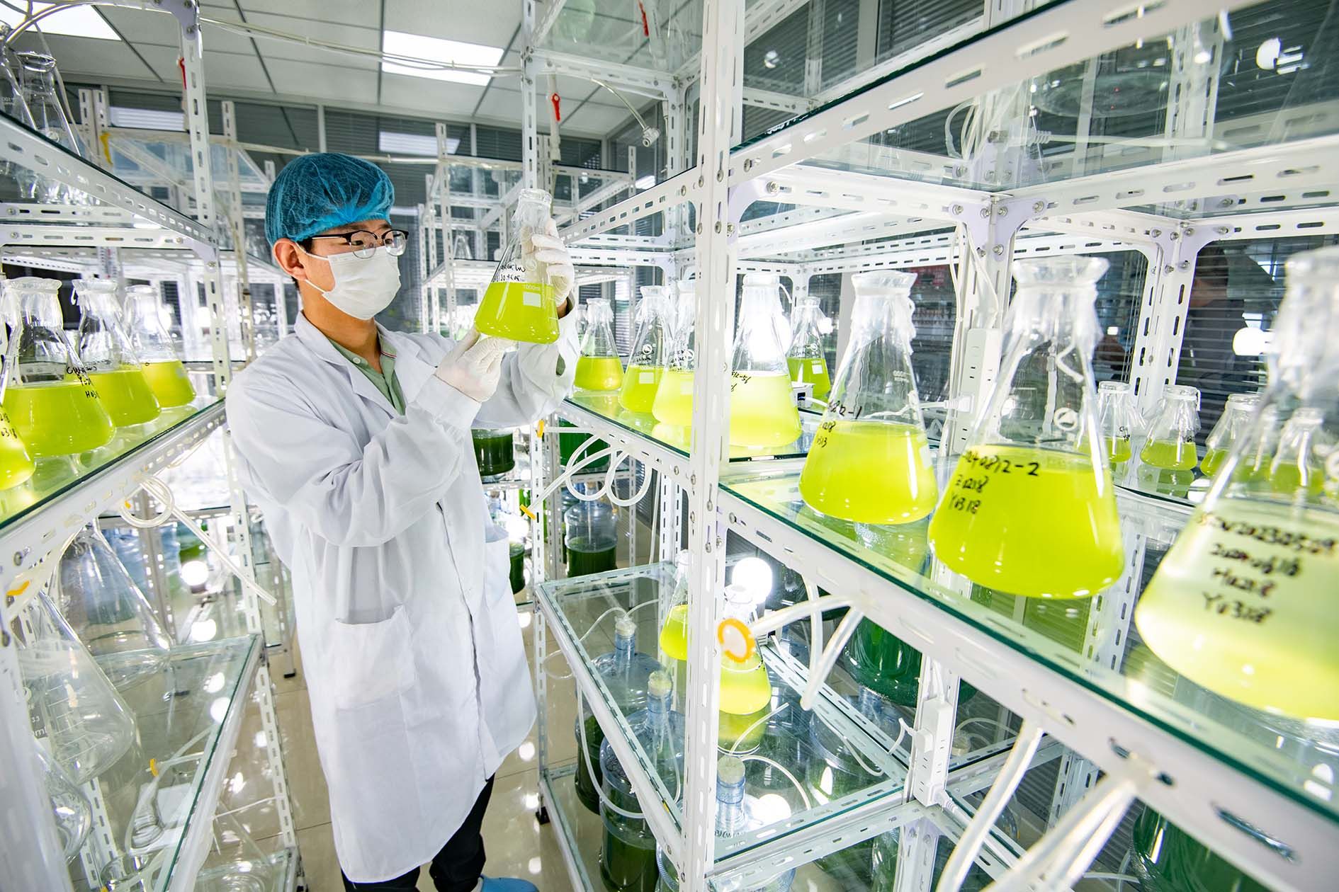 德州地福来生物科技 研发与推广并重，微藻肥田十万亩绿沃野