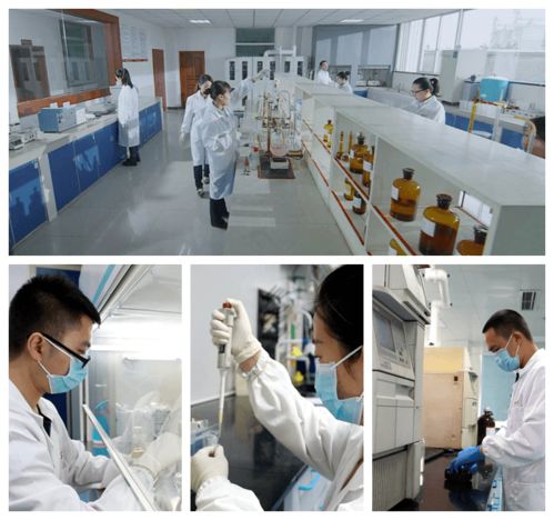 特驱酵享悦生物发酵替抗产品成功上市 开启绿色养殖新篇章